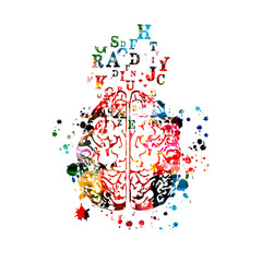 Naklejka na ściany i meble Colorful human brain with alphabet letters isolated vector illustration design