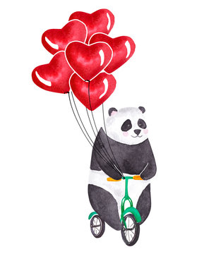 Cute watercolor panda riding bicycle. Happy Valentine's Day card