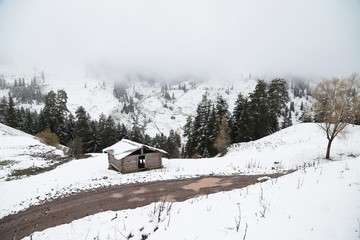 Fototapeta premium amazing village landscapes and wooden houses.savsat/artvin/turkey
