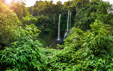 Aerial over Sekumpul waterfall surrounded by dense rainforest and mountains shrouded in mist at...