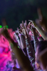 Sea of hands on music festival!