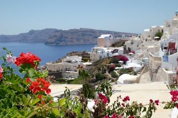 Naklejka premium Oia village view with beautiful flowers – Greek island