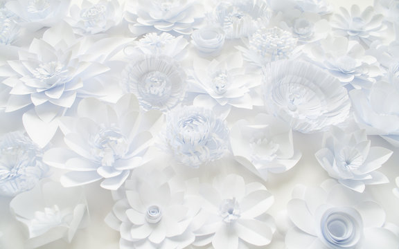 White paper flowers on white background. Floral