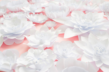 White paper flowers on pink background. Floral