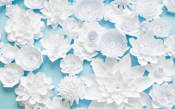 White paper flowers on blue background. Floral