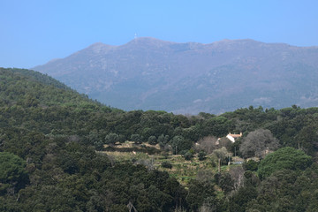 Fototapeta premium Paisaje con montañas y bosque de pinos