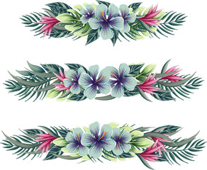 a vector floral border with tropical plants