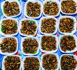 Fried silkworm pupa in package selling at street market