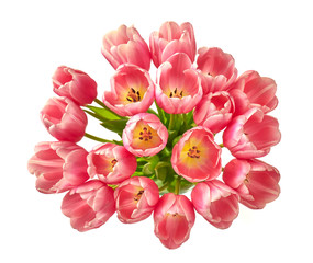 Bukiet różowych tulipany na białym tle