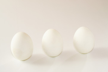 Large white eggs on a white background.