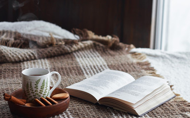 Home comfort concept. Hugge living room interior, cozy still life, a cup of hot tea with steam on a dark wood background with an open book and cinnamon cookies on a clay cup, light from the window
