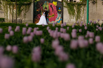 Beautiful wedding couple posing in park