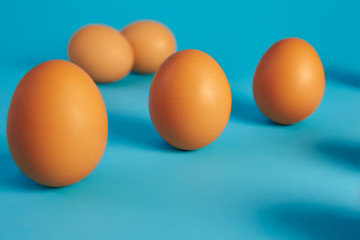 chicken eggs