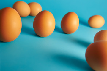 chicken eggs
