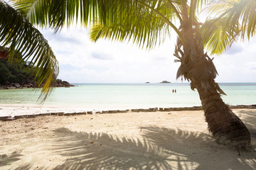 Tropical landscape view with palm trees at Praslin island, Seychelles