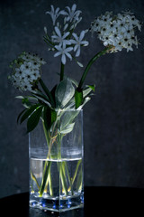 Obraz premium Passionsblume in einer Vase