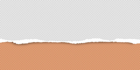 Torn white and orange horizontal paper, squared background with space for text. Vector illustration