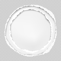 Squared grey paper, round composition with torn edges and soft shadow are on white background. Vector illustration