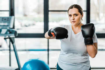 Fototapeta premium serious overweight woman wearing boxing gloves practicing kickboxing in gym