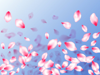 Pink sakura petals confetti flying and falling