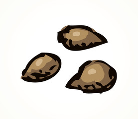 Series of vector illustrations of archaeological finds. Remains of linen, fruit stones and seeds