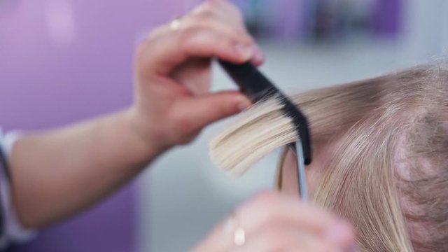 Hairdresser scissors the tips of blond hair close up