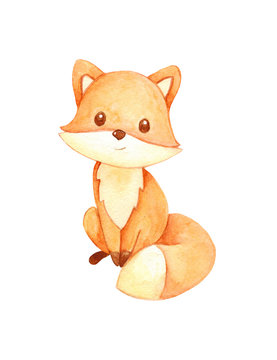 cute watercolor fox on white background 