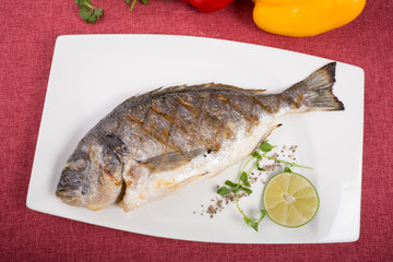 Grilled dorado fish served on a white plate