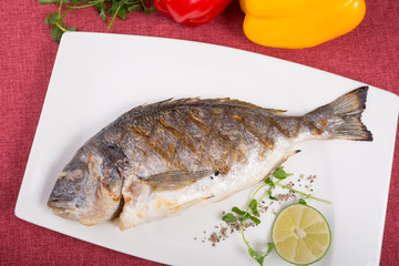 Grilled dorado fish served on a white plate