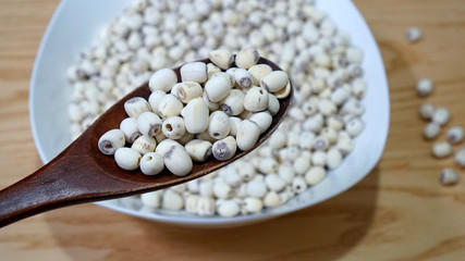 껍질을 벗긴 연꽃 열매 연자육