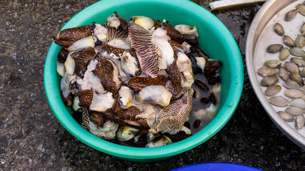 Seafood. Close up of raw mollusk in shells on the vietnamese market.Large  beautiful sea snail