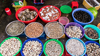 Assortament of fresh seafood. Different types of beautiful shells in the Phu Quoc market in Vietnam  for seafood restaurant