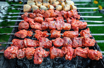 Pork shashlik with pieces of potatoes