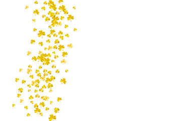 Shamrock background for Saint Patricks Day.  Lucky trefoil confetti. Glitter frame of clover leaves. Template for party invite, retail offer and ad. Greeting shamrock background.