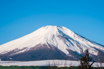 Mount Fuji, Fujiyama Top beautiful snow could for Japan beautiful landscape Highest point, view from white cold roof, Mount winter Fujisan for traver and landmark in tokyo in sunlight blue sky,closeup