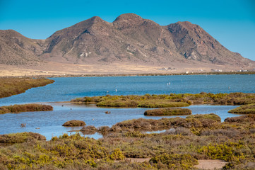Obraz premium Landscape with mountain and water