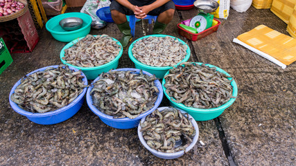 Fresh red mackerel fishes o the plates on seafood market in Vietnam Phu quoc island	
