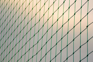 Green mesh with sky background