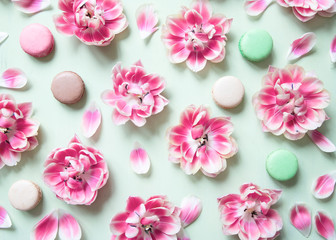 Blooming tulips and colorful macaron cakes on pastel green background.