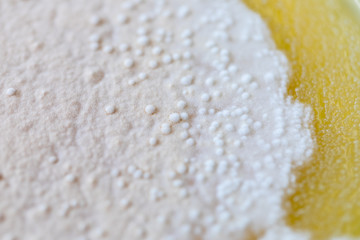 Colony characteristic of Actinomyces, Bacteria, yeast and Mold on selective media from soil samples for study in laboratory microbiology.