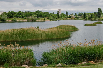 Spring panorama of a part of residential district neighborhood along a lake with green trees, shrubs and flowers, Drujba, Sofia, Bulgaria