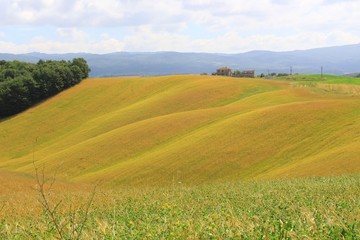 toscana