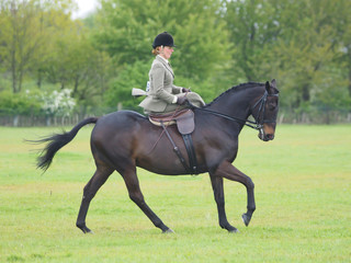 Side Saddle
