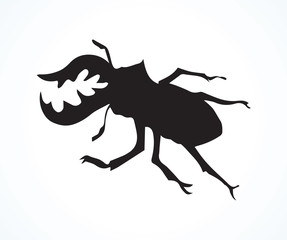 Lucanus cervus. Vector drawing