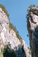 mountain road in Bicaz Canyon, Cheile Bicazului, Romania, vertical photo