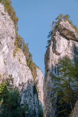 mountain road in Bicaz Canyon, Cheile Bicazului, Romania, vertical photo