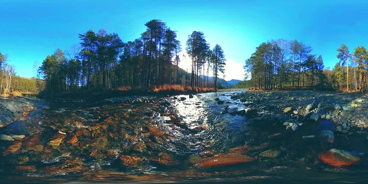 360 VR virtual reality of a wild mountains, pine forest and river flows. National park, meadow and sun rays.