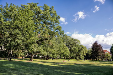 Idylle am Karlsplatz in Prag