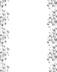 Border of gray wildflowers