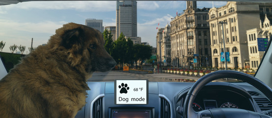 smart autonomous car use dog and sentry mode to protect or guard the car and pet In addition to keeping the climate control on, the touchscreen will display the current cabin temperature